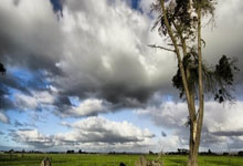 欧博官网:突然断电!浙江接近4分钟0得分,北京趁势打出一波10-0追平比分恩里克:我觉得自己在巴黎很重要;拒就登贝莱/阿森西奥置评.