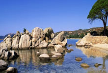 欧博官网:被逐出尤文罗马诺确认莫塔下课,基耶萨马上点赞动态.